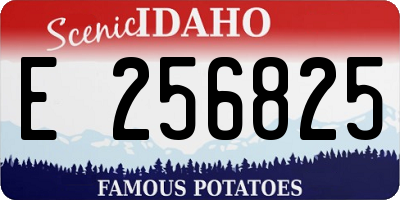 ID license plate E256825