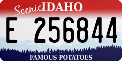ID license plate E256844