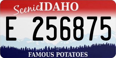 ID license plate E256875