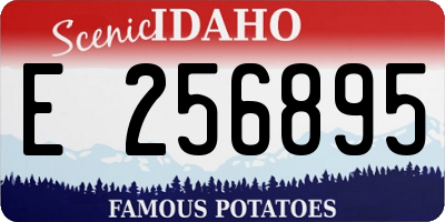 ID license plate E256895
