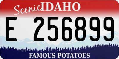 ID license plate E256899