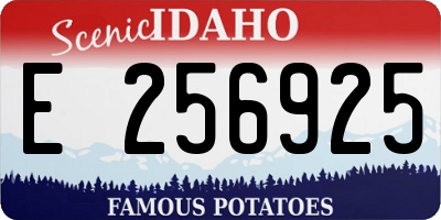 ID license plate E256925