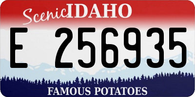 ID license plate E256935