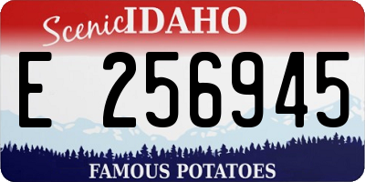 ID license plate E256945