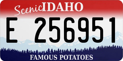 ID license plate E256951