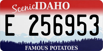 ID license plate E256953