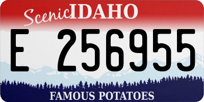 ID license plate E256955
