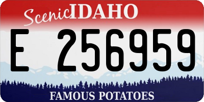 ID license plate E256959