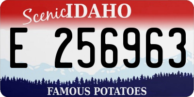 ID license plate E256963