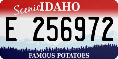 ID license plate E256972