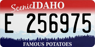 ID license plate E256975