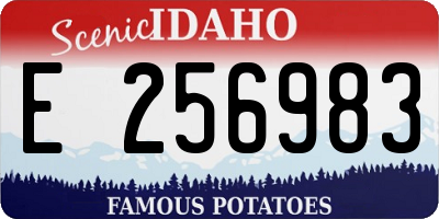 ID license plate E256983