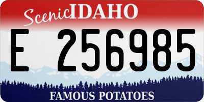 ID license plate E256985