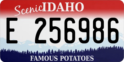 ID license plate E256986