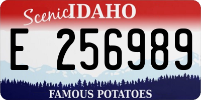 ID license plate E256989
