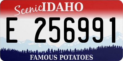 ID license plate E256991