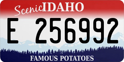 ID license plate E256992