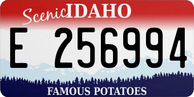 ID license plate E256994