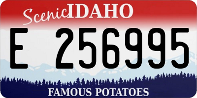 ID license plate E256995