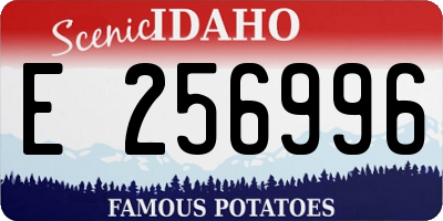 ID license plate E256996