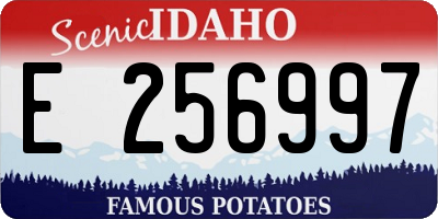 ID license plate E256997