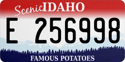 ID license plate E256998