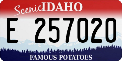 ID license plate E257020
