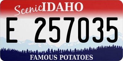 ID license plate E257035
