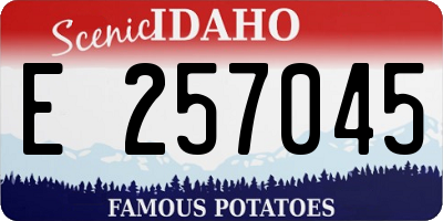 ID license plate E257045
