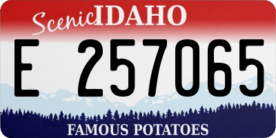 ID license plate E257065