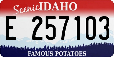 ID license plate E257103