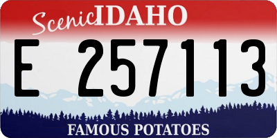 ID license plate E257113