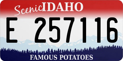 ID license plate E257116