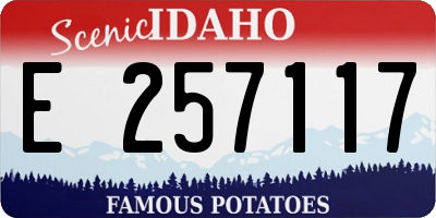 ID license plate E257117