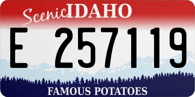 ID license plate E257119