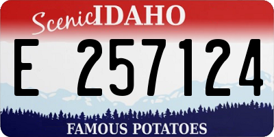 ID license plate E257124