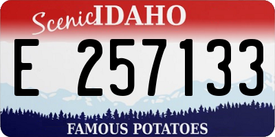 ID license plate E257133