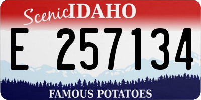 ID license plate E257134