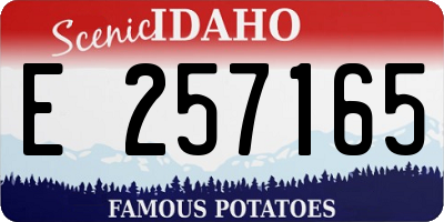 ID license plate E257165