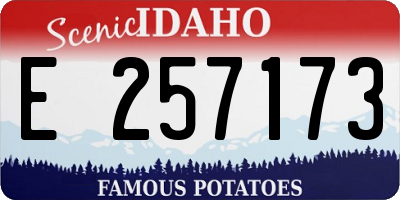 ID license plate E257173