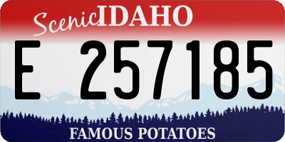 ID license plate E257185