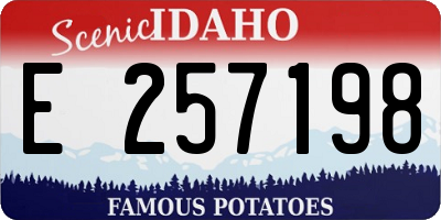 ID license plate E257198