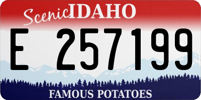 ID license plate E257199