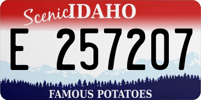 ID license plate E257207
