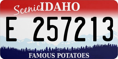 ID license plate E257213