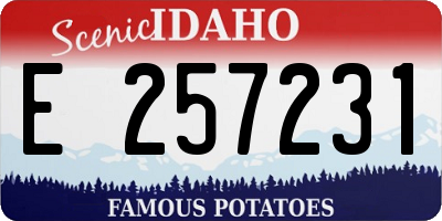ID license plate E257231