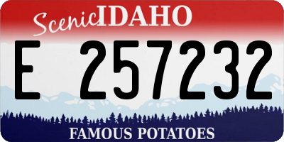ID license plate E257232