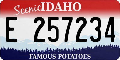 ID license plate E257234