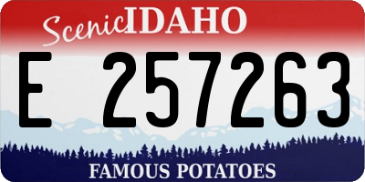 ID license plate E257263