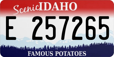 ID license plate E257265